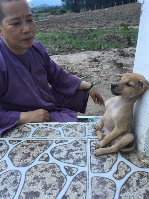 “Tan chảy” trước cún anh ôm cún em một khắc cũng không buông ảnh 10